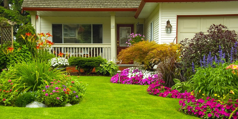 landscaping design